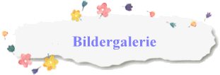 Bildergalerie